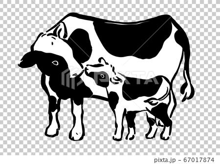 牛の親子 イラストのイラスト素材