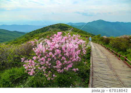 韓国 全北 南原市 67018042