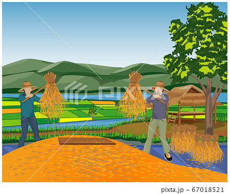 farmer harvest rice vector design farmer harvest rice vector design 67018521