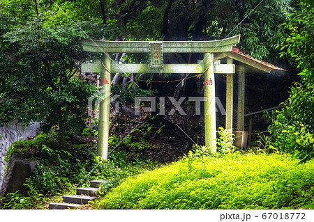 神秘的な稲荷神社の鳥居の写真素材