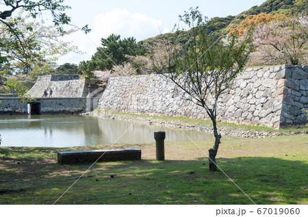 萩城址の石垣の景色 萩城址の石垣の景色 67019060