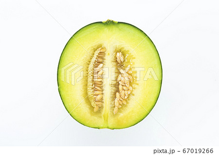 アンデスメロン アンデスメロン 67019266