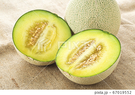 アンデスメロン 67019552