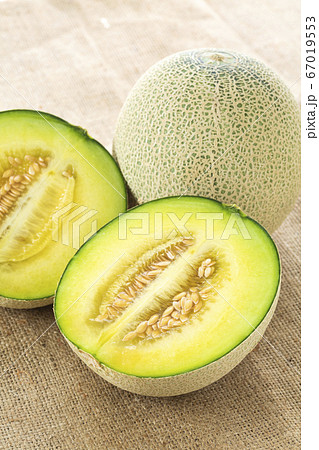 アンデスメロン 67019553