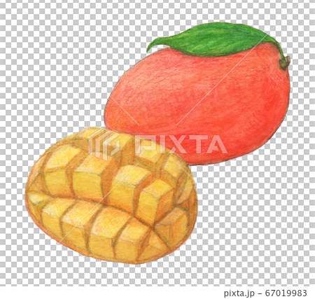 芒果手繪 67019983