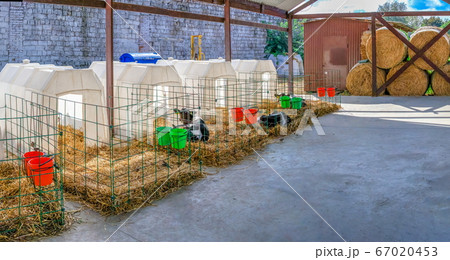 Modern Cheese factory in Shabo, Ukraine Modern Cheese factory in Shabo, Ukraine 67020453