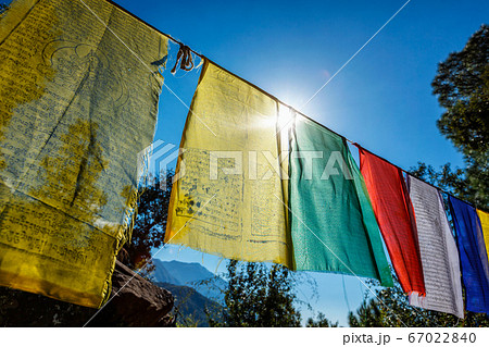Prayer flags of Tibetan Buddhism with Buddhist mantra on it in Dharamshala monastery temple. India 67022840