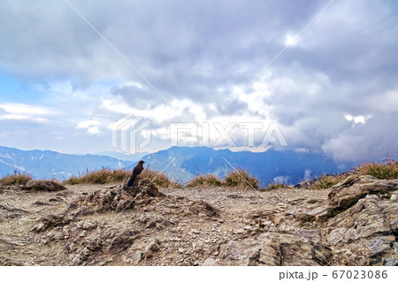 トレッキングと野鳥 台湾の合歓山アウトドア Trekking Taiwan Hehuanshan トレッキングと野鳥 台湾の合歓山アウトドア Trekking Taiwan Hehuanshan 67023086