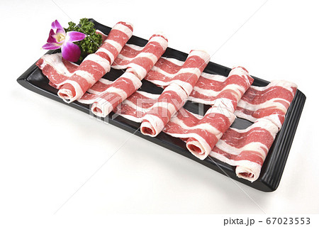 肉 人体 お肉 67023553