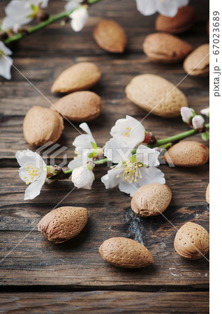 Fresh almond and flowers on the wooden table Fresh almond and flowers on the wooden table 67023689