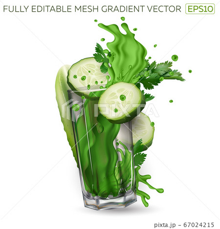 Cucumber slices, celery leaves and splash of green juice in a glass 67024215