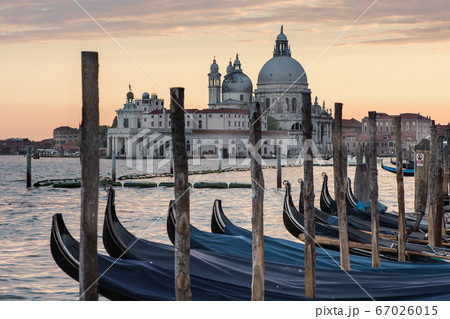 Gondolas floating in waters of lagoon in front of the famous basilica Gondolas floating in waters of lagoon in front of the famous basilica 67026015