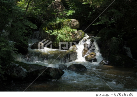 竜吟峡の滝 67026536