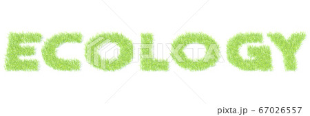 ECOLOGY word made with green grass, white background. 3D rendering ECOLOGY word made with green grass, white background. 3D rendering 67026557