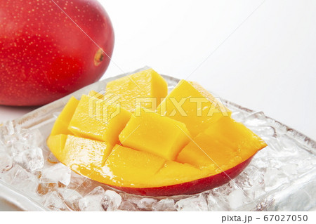 マンゴー　完熟マンゴー 67027050