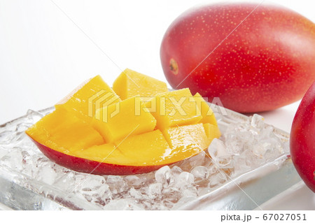 マンゴー　完熟マンゴー 67027051