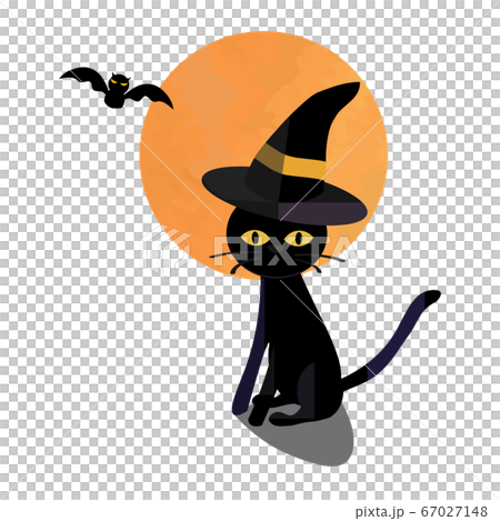 Halloween black cat 67027148
