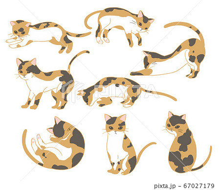 三毛猫 線無し のイラスト素材