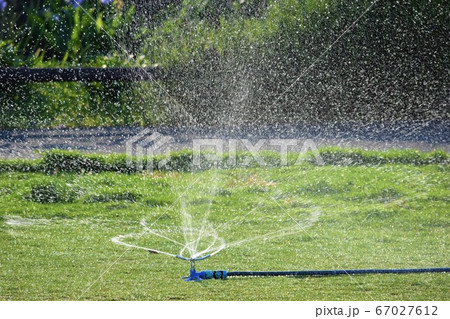 梅雨の中休み 67027612