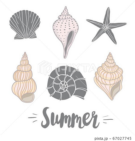 Hand drawn vector illustrations - collection of seashells. Marine set. Perfect for invitations, greeting cards, posters, prints, banners, flyers etc Hand drawn vector illustrations - collection of seashells. Marine set. Perfect for invitations, greeting cards, posters, prints, banners, flyers etc 67027745