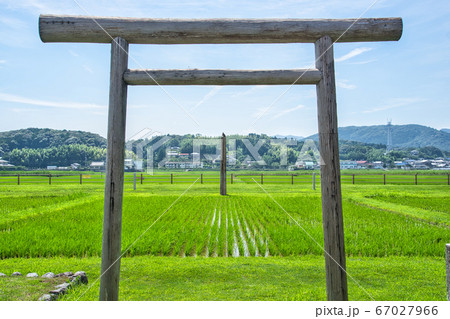 夏の伊雑宮(柱上に鷹) 67027966