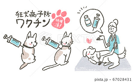 動物病院で獣医師によるペットに狂犬病予防ワクチンを促すイラスト 67028431