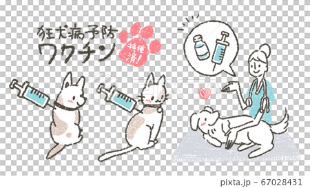 Illustration urging veterinarians to rabies vaccine against pets at veterinary clinic 67028431