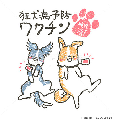 愛犬は家族 ワクチン接種してペット登録しようのイラスト素材