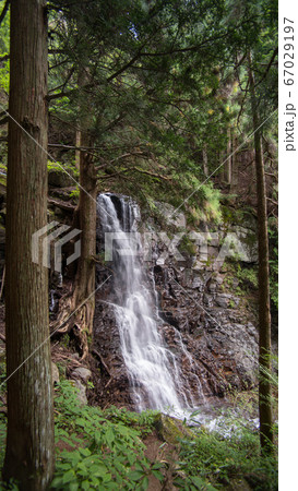 山梨の百名山の三つ峠山の母の白滝 山梨の百名山の三つ峠山の母の白滝 67029197