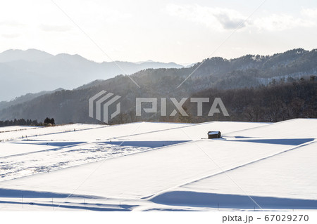 冬の畑 冬の畑 67029270