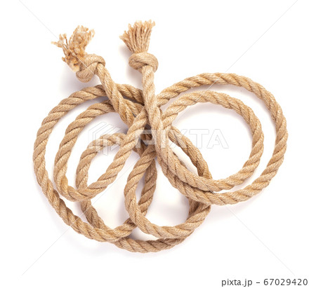ship rope on white background 67029420