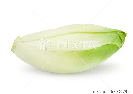 Chicory salad isolated on white background with clipping path and full depth of field. 67030795