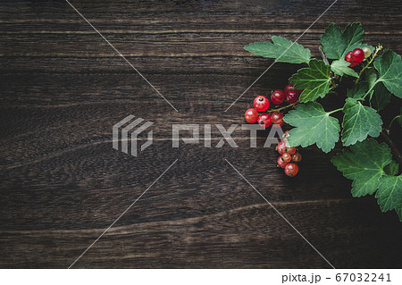 赤い実のスグリ こげ茶色の木目背景 赤い実のスグリ こげ茶色の木目背景 67032241