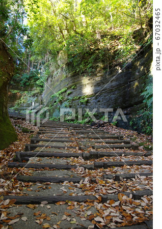 日吉神社から八鶴湖に通じる山王坂の切り通し（千葉県東金市） 67032465