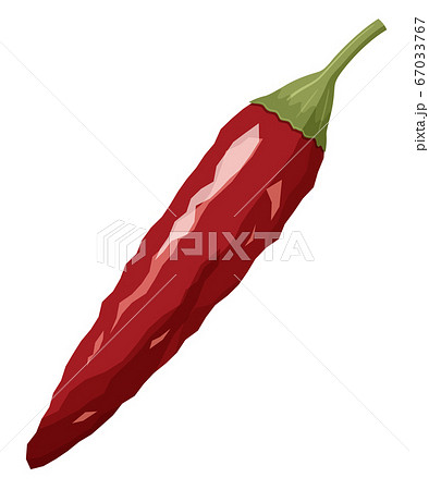 干して乾燥した唐辛子のイラスト_鷹の爪 67033767