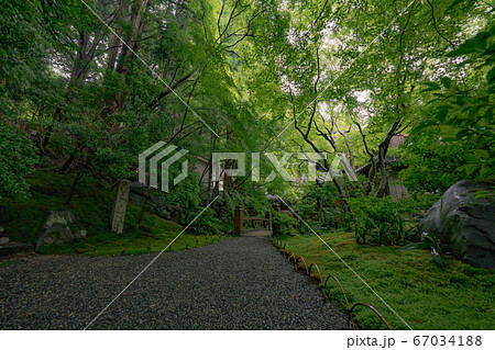 京都 寺 新緑 夏 春 広告 SNS 瑠璃光院 八瀬 数寄屋造 日本庭園 苔 紅葉 庭 観光 京都 寺 新緑 夏 春 広告 SNS 瑠璃光院 八瀬 数寄屋造 日本庭園 苔 紅葉 庭 観光 67034188