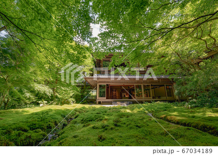 京都　寺　新緑　夏　春　広告　SNS　瑠璃光院　八瀬　数寄屋造　日本庭園　苔　紅葉　庭　観光　 67034189