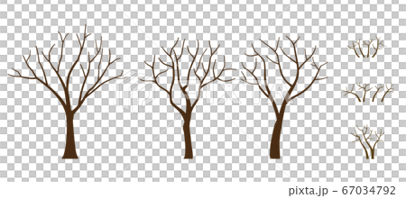 Set of trees with fallen winter leaves Set of trees with fallen winter leaves 67034792
