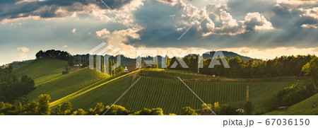 Vineyards panorama Leibnitz area famous 67036150