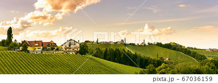 Vineyards panorama Leibnitz area famous 67036159