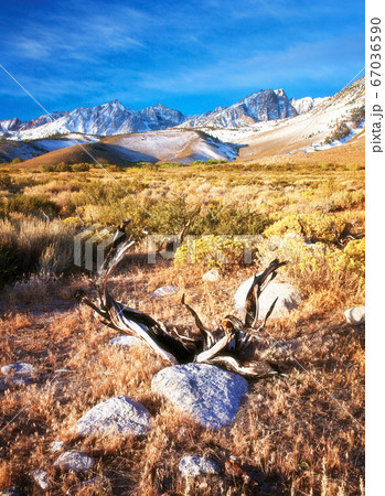 Arid Wilderness of the Eastern Sierras Arid Wilderness of the Eastern Sierras 67036590