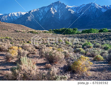 Arid Landscape of the Alabama Hills in California Arid Landscape of the Alabama Hills in California 67036592