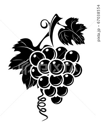 Black Silhouette Bunch Of Grapes Vector Iconのイラスト素材