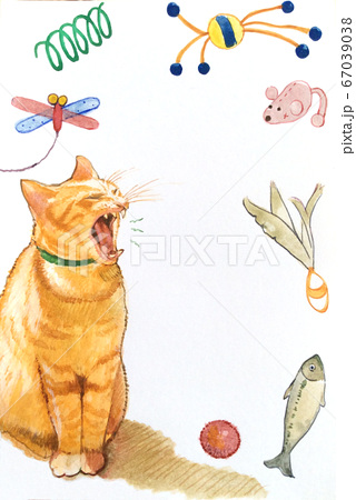 あくびをする猫と猫のおもちゃのイラストのイラスト素材