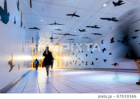 名古屋市の地下通路 ルーセントアベニュー 【愛知県】 名古屋市の地下通路 ルーセントアベニュー 【愛知県】 67039366