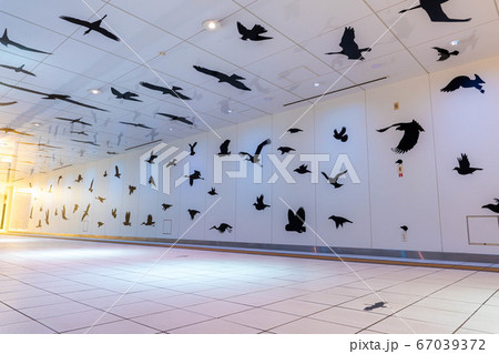 名古屋市の地下通路　ルーセントアベニュー　【愛知県】 67039372