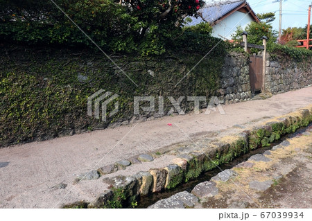 島原武家屋敷街の水路 67039934