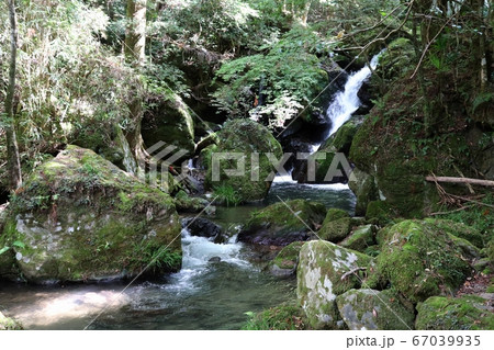 玖珠町　清水瀑園 67039935