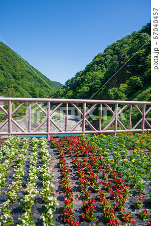 奥清津発電所 二居ダム 花壇 清津川 新緑の景色 新潟県 奥清津発電所 二居ダム 花壇 清津川 新緑の景色 新潟県 67040457