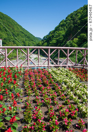 奥清津発電所 二居ダム 花壇 清津川 新緑の景色 新潟県 奥清津発電所 二居ダム 花壇 清津川 新緑の景色 新潟県 67040467